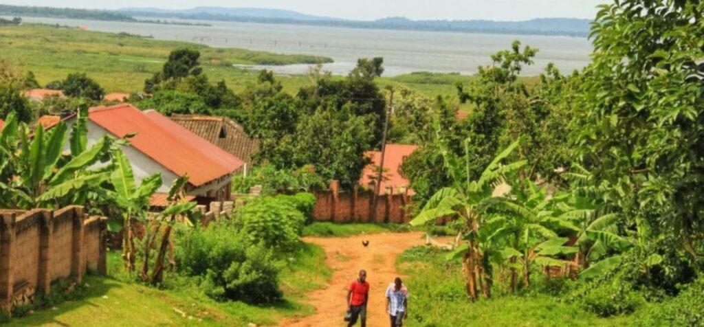 Ethiopian Airlines Entebbe Office in Uganda