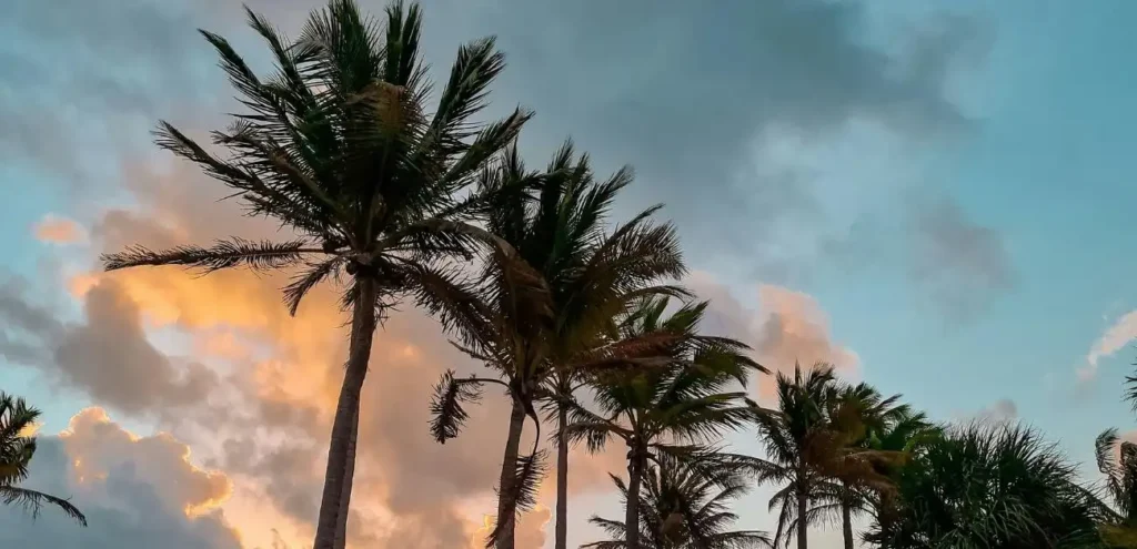 WestJet Airlines Miami Office in Florida