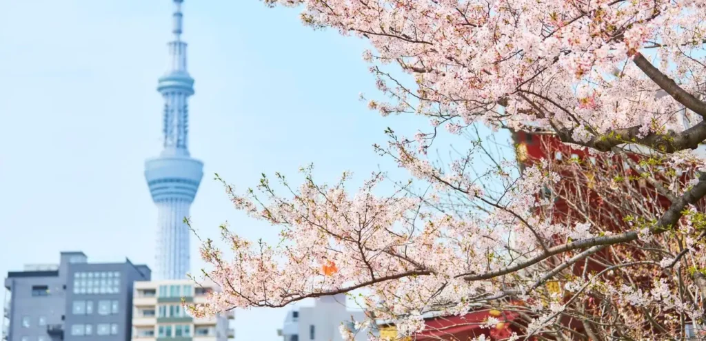 WestJet Airlines Tokyo Office